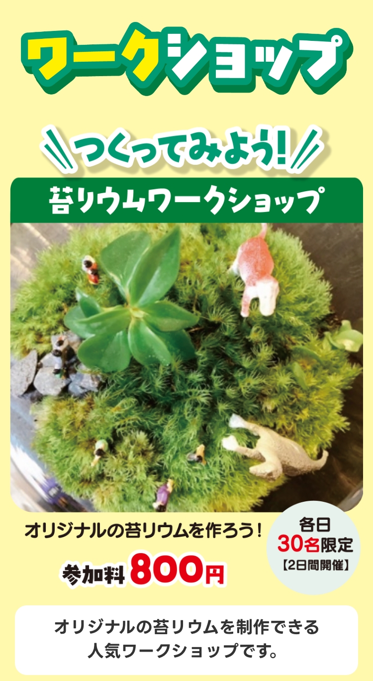苔リウムワークショップ